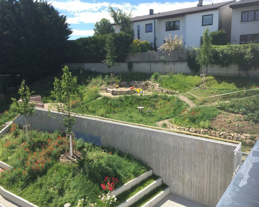 Gartengestaltung Wohnhausanlage Wien